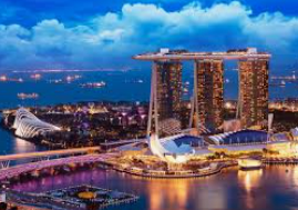 旺财28APP正式版